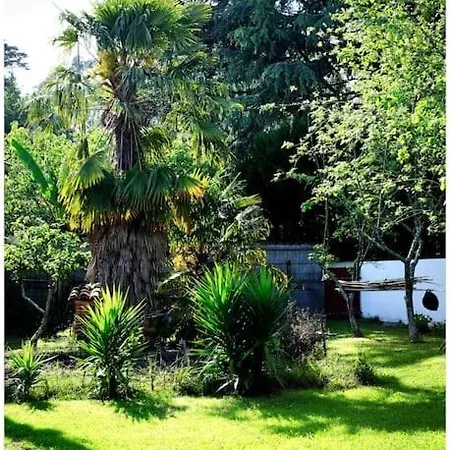 Loft A 5 Mn De La Plage * Ciboure